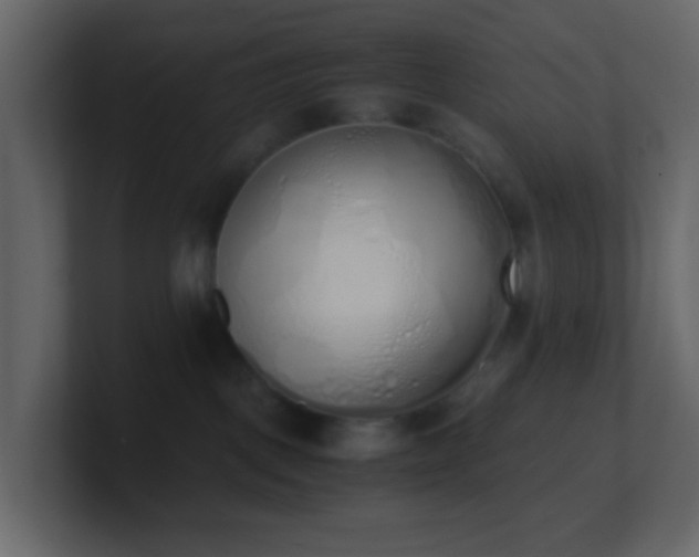 X0000101680093200807101431