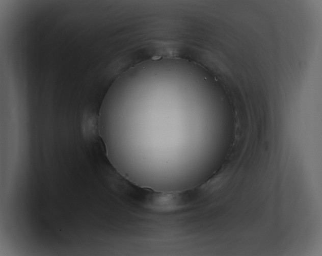 X0000101680096200807101431