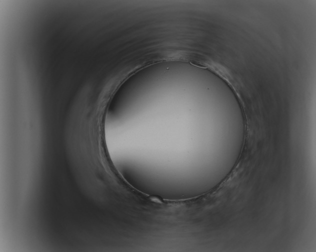 X0000101680097200807101430