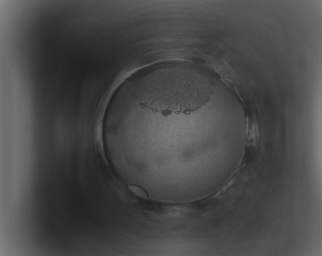 X0000101680099200807101430