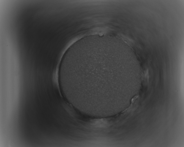 X0000101680100200807101430