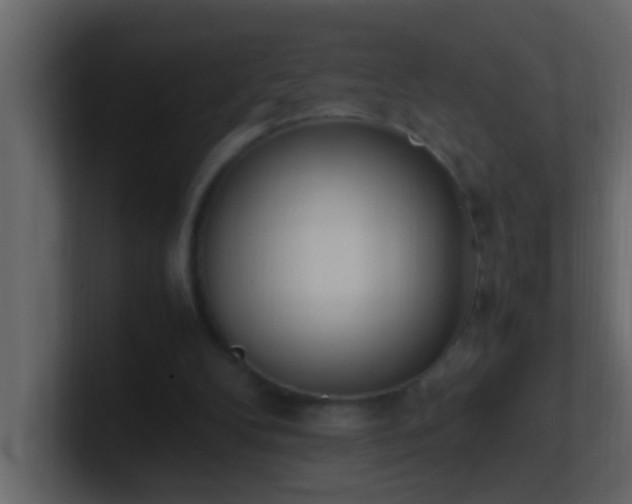 X0000101680104200807101430