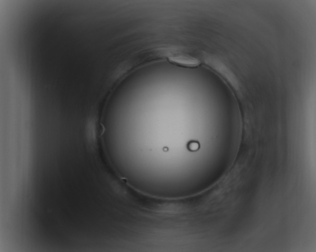 X0000101680105200807101430