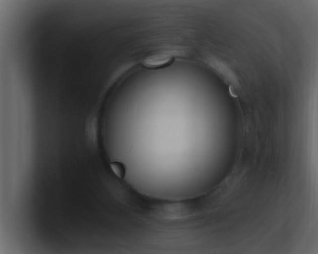 X0000101680108200807101430