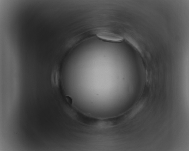 X0000101680109200807101430