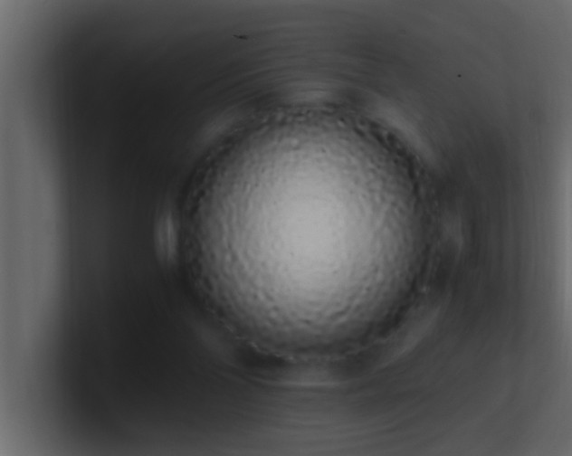 X0000101680110200807101430