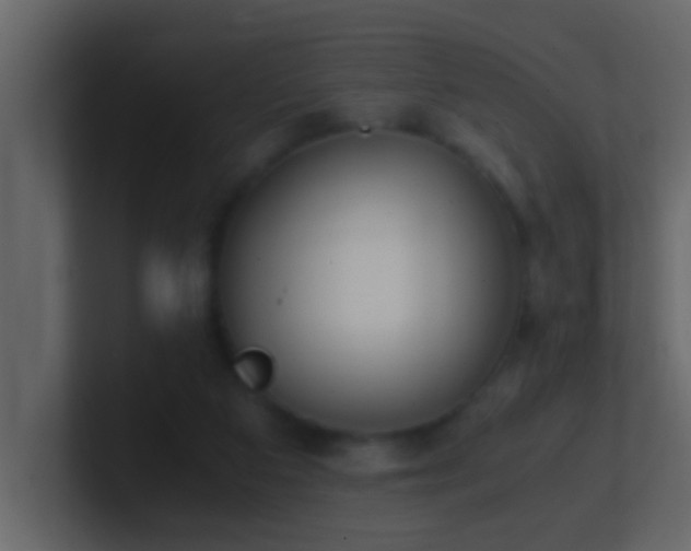 X0000101680113200807101430