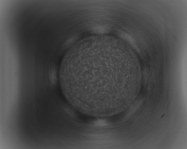 X0000101680114200807101430