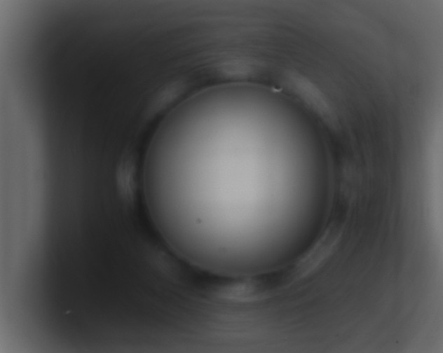 X0000101680116200807101430