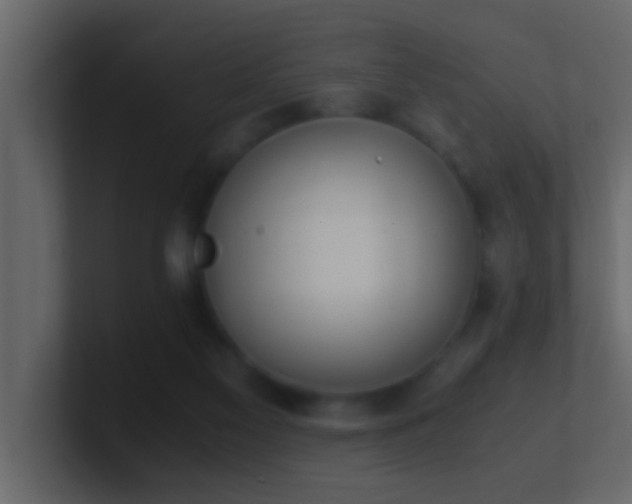 X0000101680117200807101430