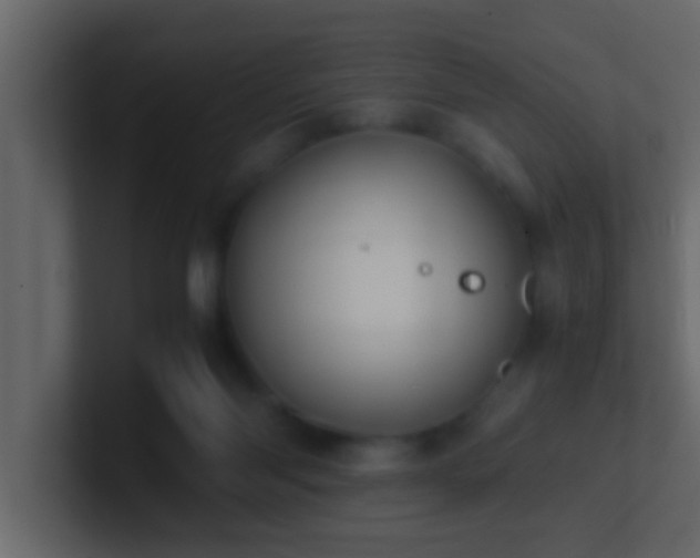 X0000101680118200807101430