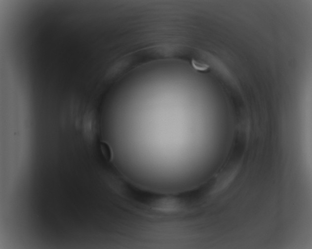 X0000101680119200807101430