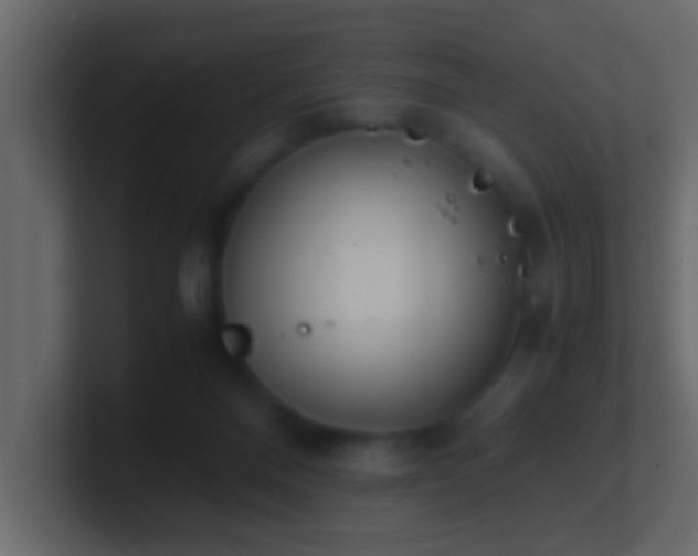 X0000101680120200807101430