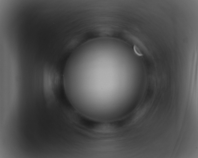 X0000101680123200807101430