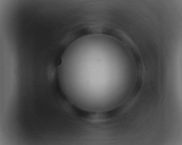 X0000101680125200807101430