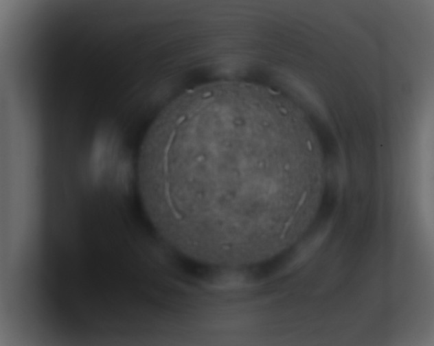 X0000101680127200807101430