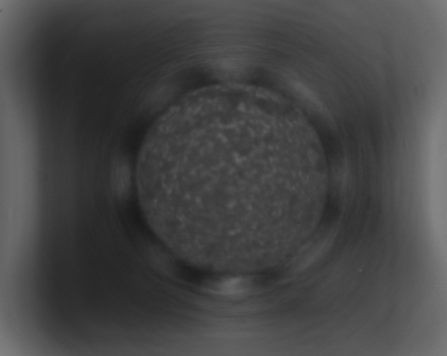 X0000101680130200807101430