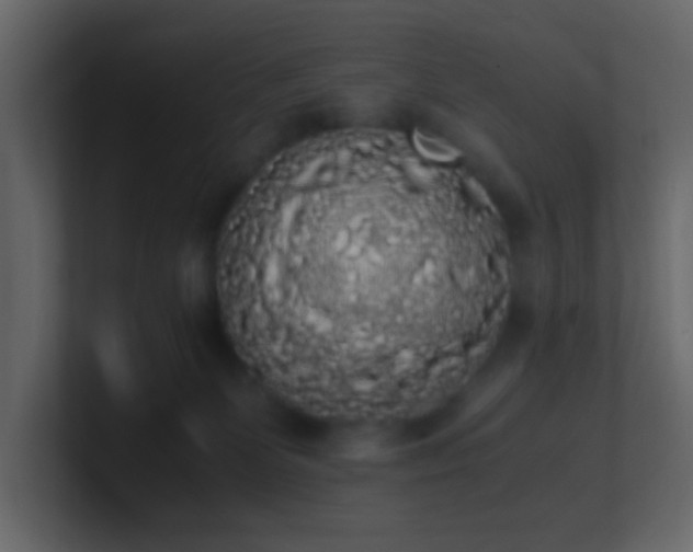 X0000101680131200807101430