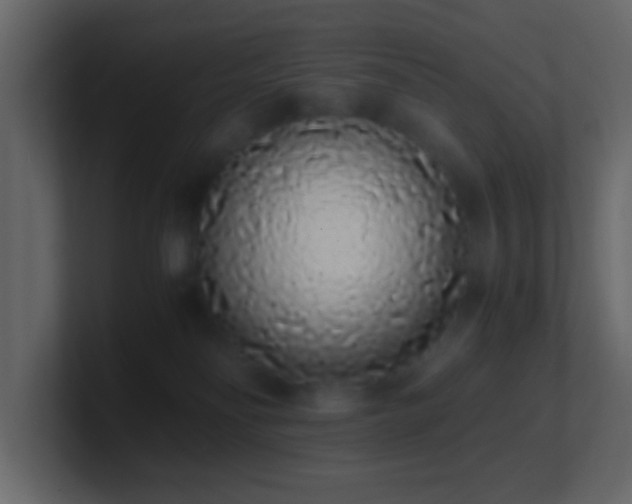 X0000101680134200807101430