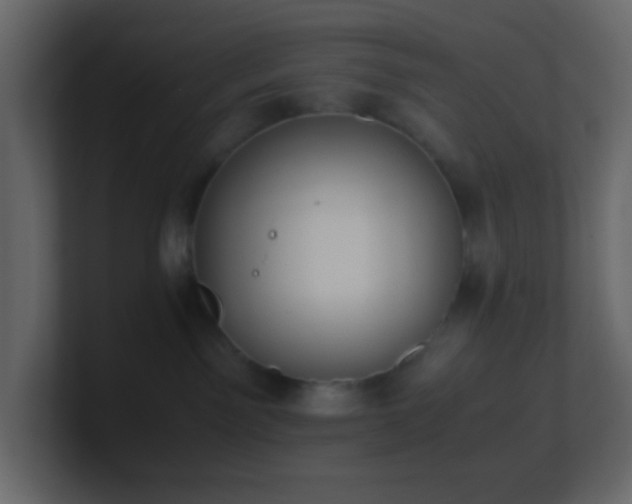 X0000101680141200807101429