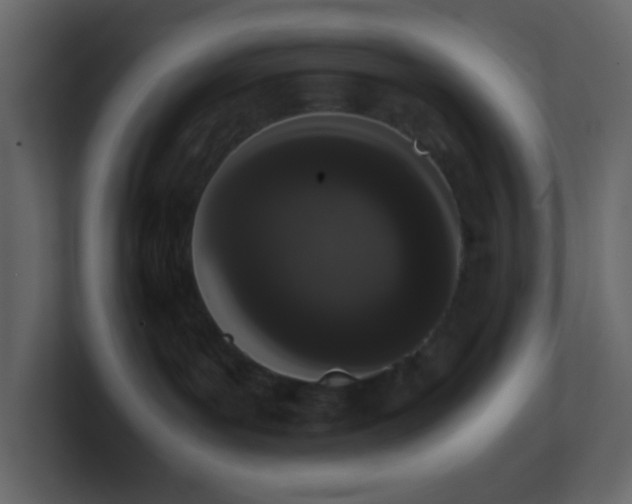 X0000101680143200807101429