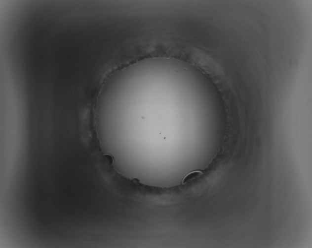 X0000101680144200807101429