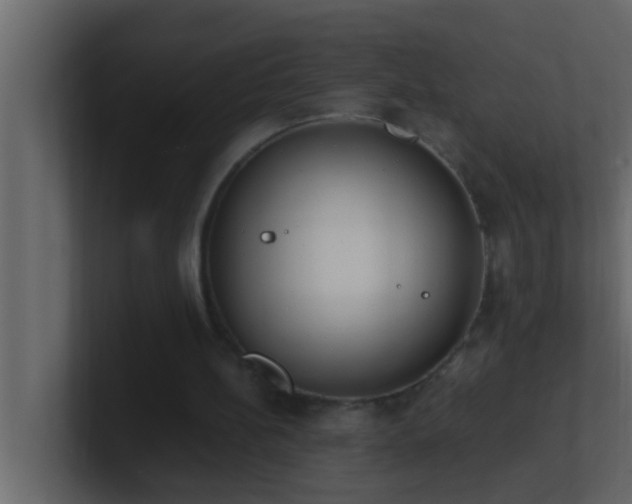 X0000101680148200807101429