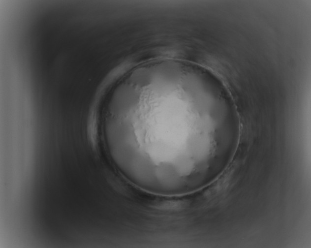 X0000101680149200807101429