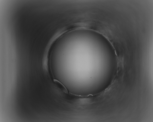 X0000101680150200807101429