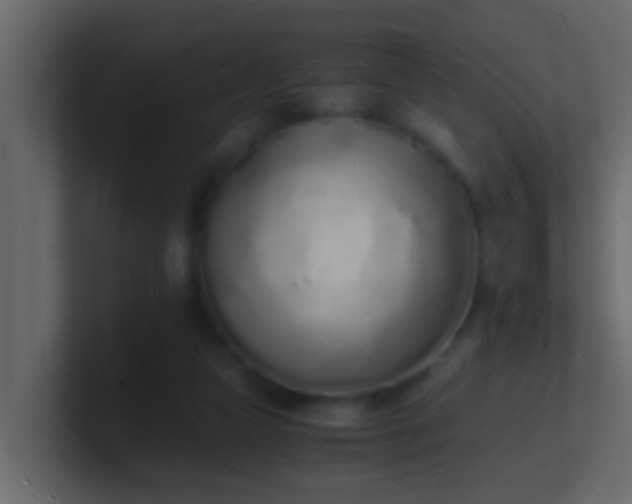 X0000101680161200807101429