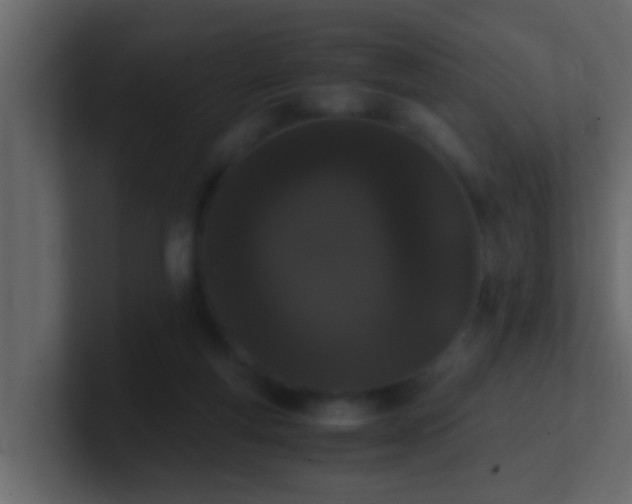 X0000101680163200807101429