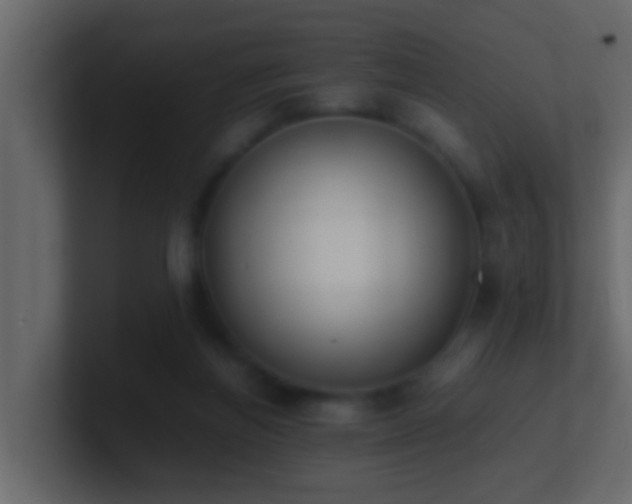 X0000101680164200807101429