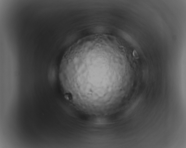 X0000101680165200807101429