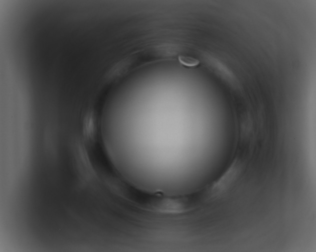 X0000101680166200807101429