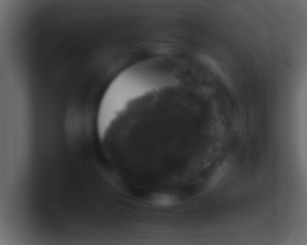 X0000101680167200807101429