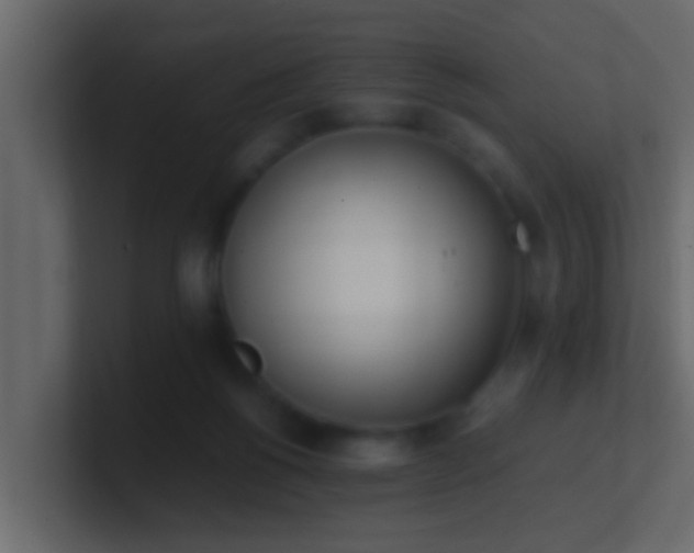 X0000101680168200807101429