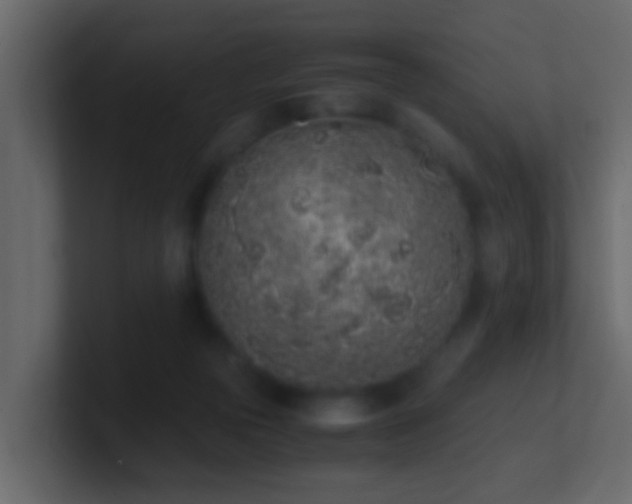 X0000101680169200807101429