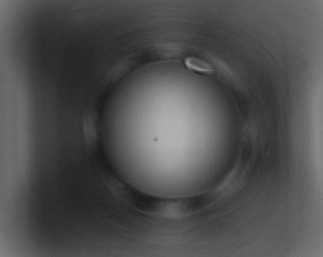 X0000101680170200807101429