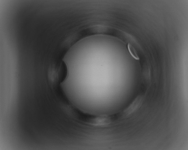 X0000101680172200807101429