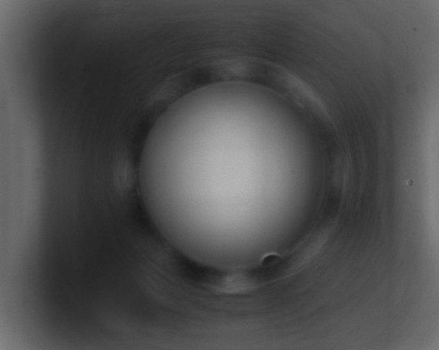 X0000101680173200807101429