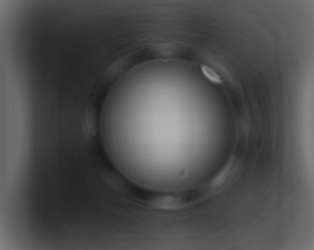 X0000101680174200807101429