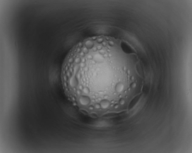 X0000101680175200807101429