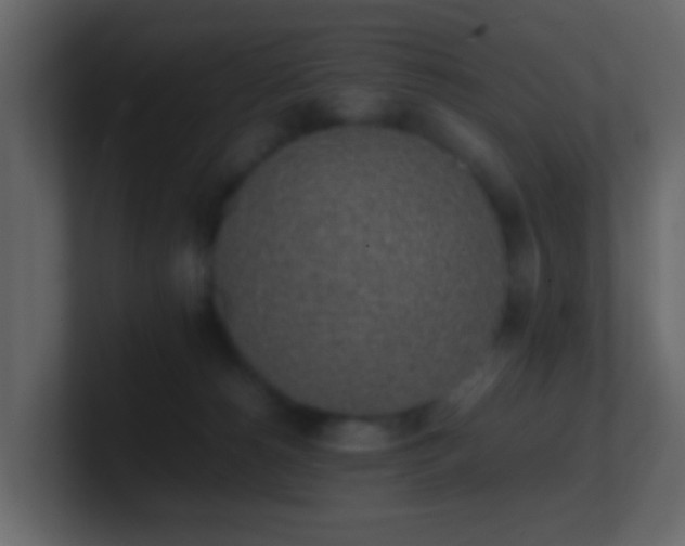 X0000101680180200807101429