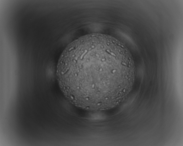 X0000101680181200807101429