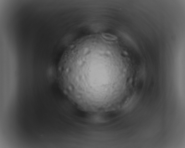 X0000101680182200807101429