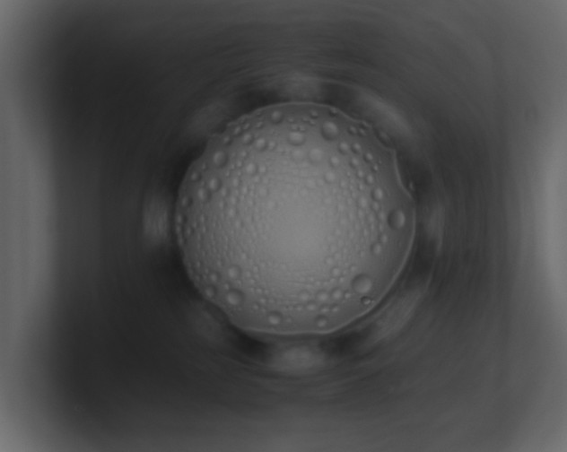 X0000101680185200807101429