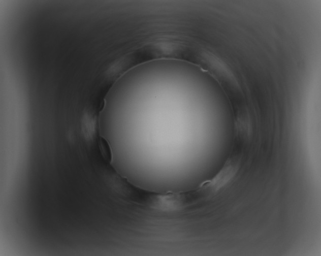 X0000101680188200807101429