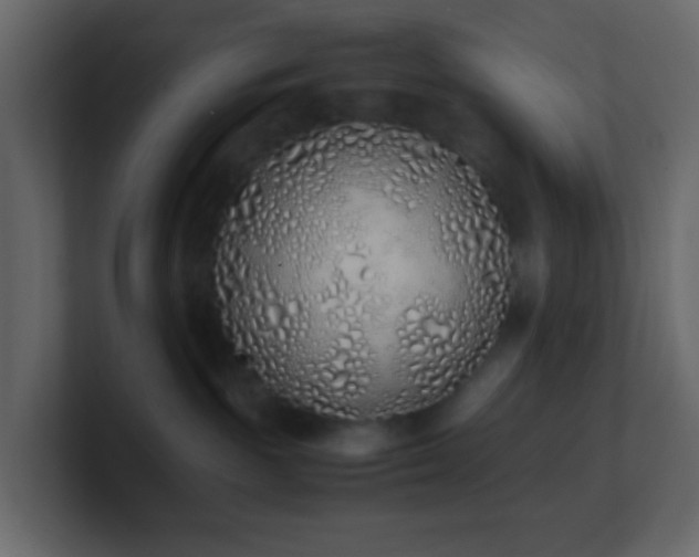 X0000101680189200807101429