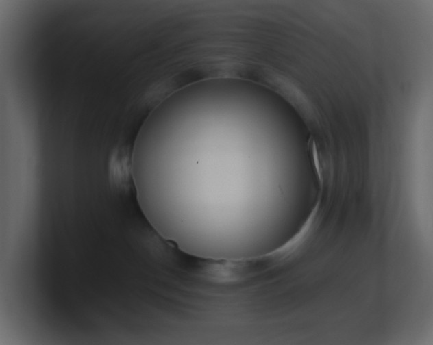 X0000101680190200807101429