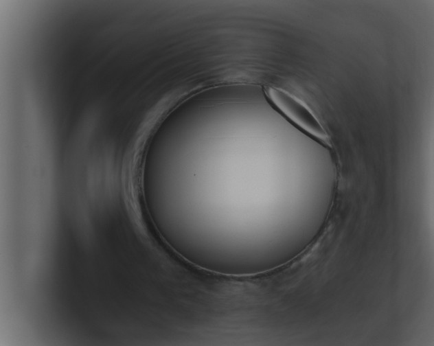 X0000101680193200807101429